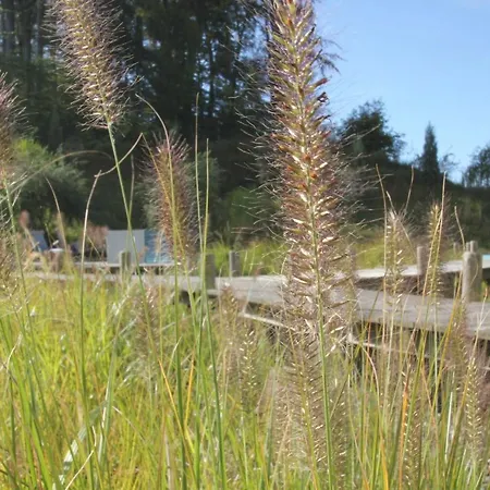 Lejlighed First 2-3 *