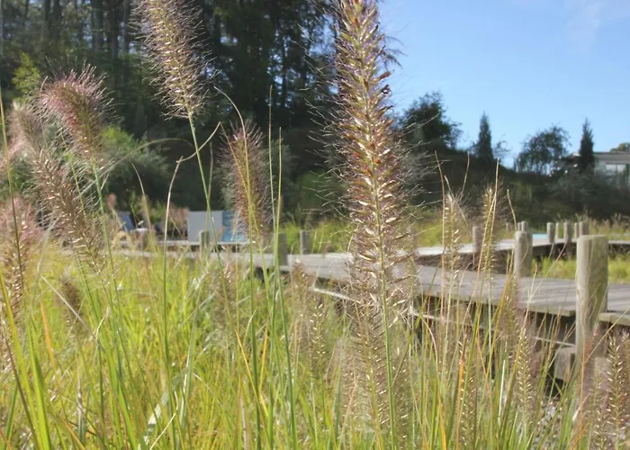 Lägenhet First 2-3 *